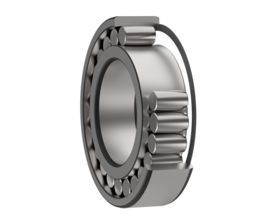 Rodamiento toroidal CARB